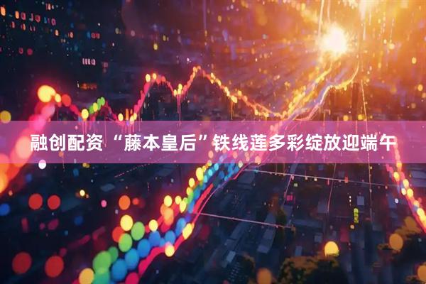 融创配资 “藤本皇后”铁线莲多彩绽放迎端午