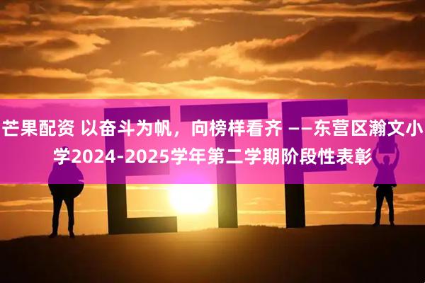 芒果配资 以奋斗为帆，向榜样看齐 ——东营区瀚文小学2024-2025学年第二学期阶段性表彰