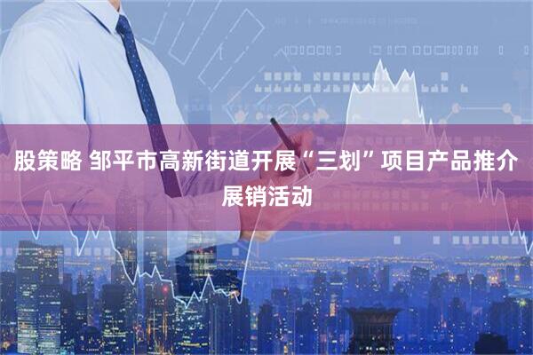 股策略 邹平市高新街道开展“三划”项目产品推介展销活动