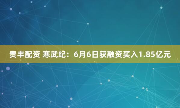 贵丰配资 寒武纪：6月6日获融资买入1.85亿元