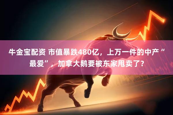 牛金宝配资 市值暴跌480亿，上万一件的中产“最爱”，加拿大鹅要被东家甩卖了？