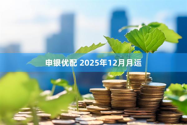 申银优配 2025年12月月运