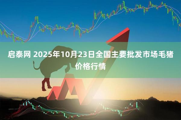 启泰网 2025年10月23日全国主要批发市场毛猪价格行情