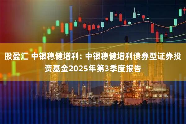 股盈汇 中银稳健增利: 中银稳健增利债券型证券投资基金2025年第3季度报告