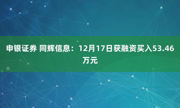 申银证券 同辉信息：12月17日获融资买入53.46万元