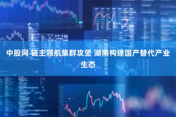 中股网 链主领航集群攻坚 湖南构建国产替代产业生态