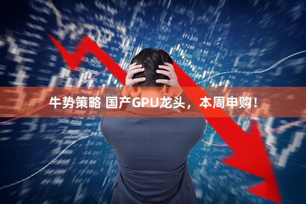牛势策略 国产GPU龙头，本周申购！